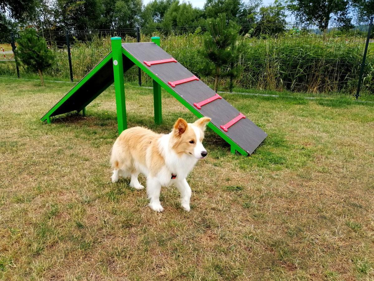 Wakacyjna Wioska Summerland ジブヌベク エクステリア 写真